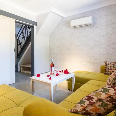 Aysel Paradise 달리안