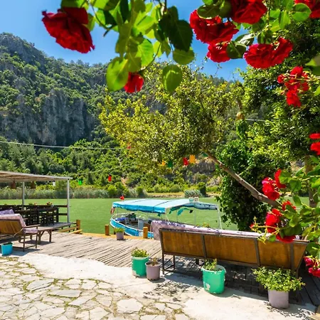 Aysel Paradise